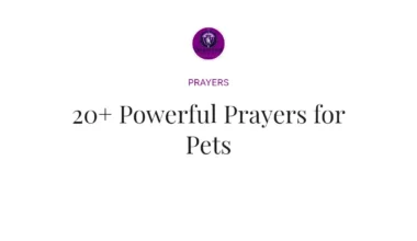 20+ Powerful Prayers for Pets