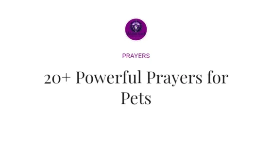 20+ Powerful Prayers for Pets